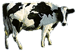 [Global Cow]