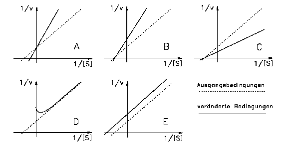 Lineweaver-Burk-Diagramme