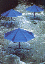 The Umbrellas