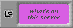 What's on this server