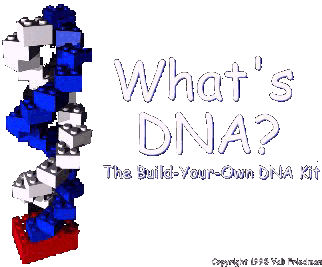 What's DNA?