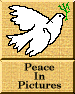 [Peace in Pictures Project]