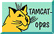 TAMCAT-opas