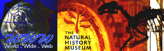 Museum logo